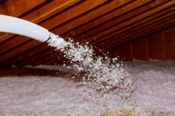 Best Types of Insulation in Lutherville, MD